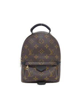 Louis Vuitton Monogram Palm Spring Backpack Mini Sac